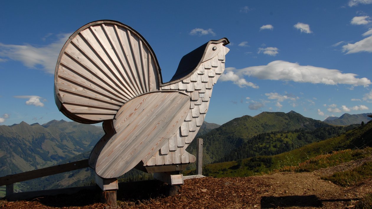 Large wooden bird sculpture set against a mountain landscape and blue sky outdoors