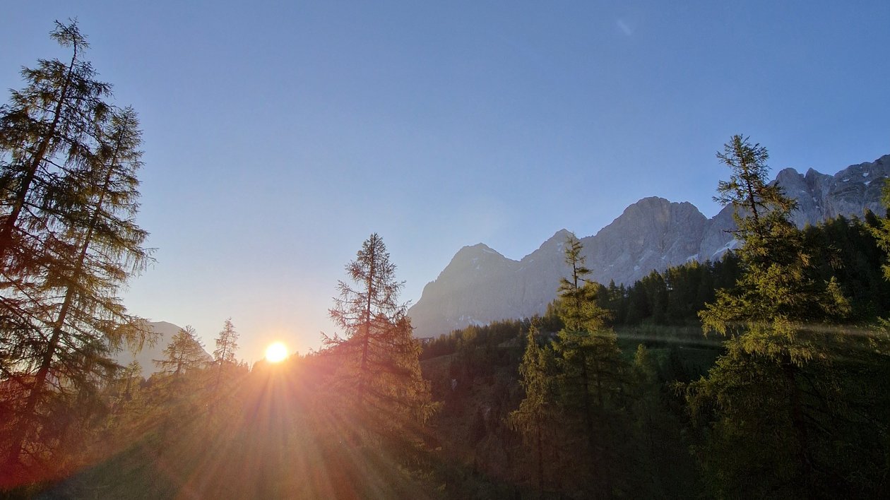 Sunrise behind a mountain range with tall trees in the foreground in a natural landscape