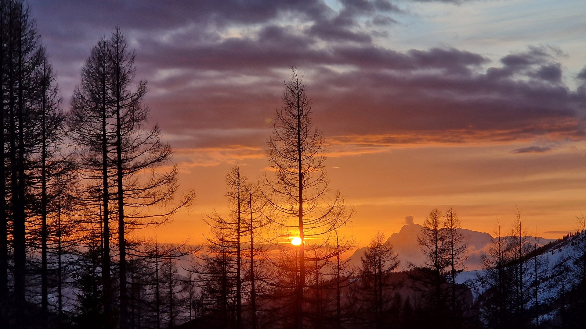 Blick auf einen Sonnenuntergang über den Bergen mit silhouettierten Bäumen im Vordergrund.