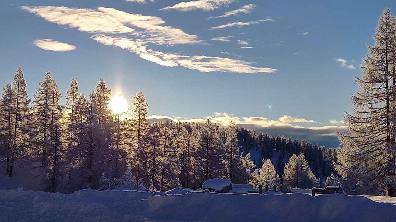 Frostige Winterlandschaft mit Sonnenaufgang Winterlandschaft mit schneebedeckten Bäumen und Sonnenaufgang im Hintergrund unter blauem Himmel