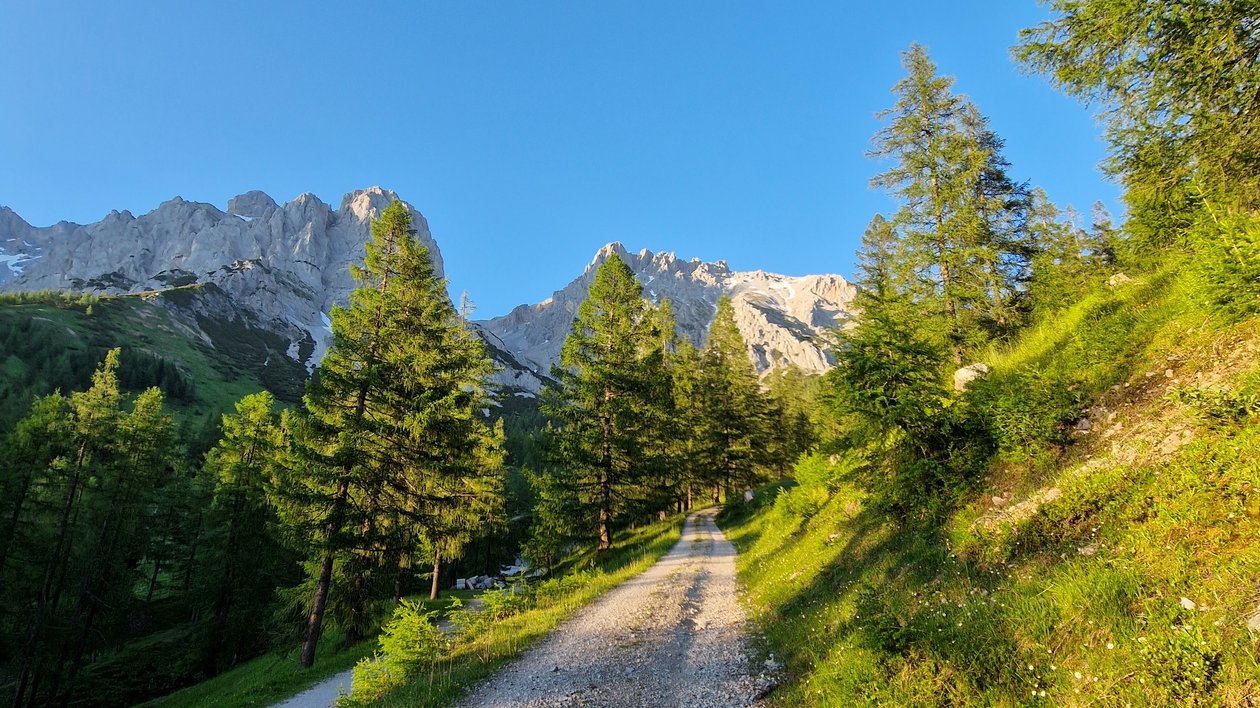 A winding gravel path surrounded by green foliage and mountains under a blue sky