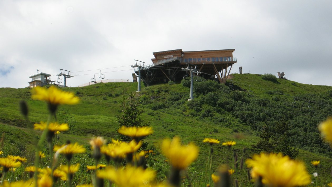 Alpine Schönheit im Sommer Bergresort mit Skilift und blühenden Wildblumen vor grünen Hügeln unter bewölktem Himmel
