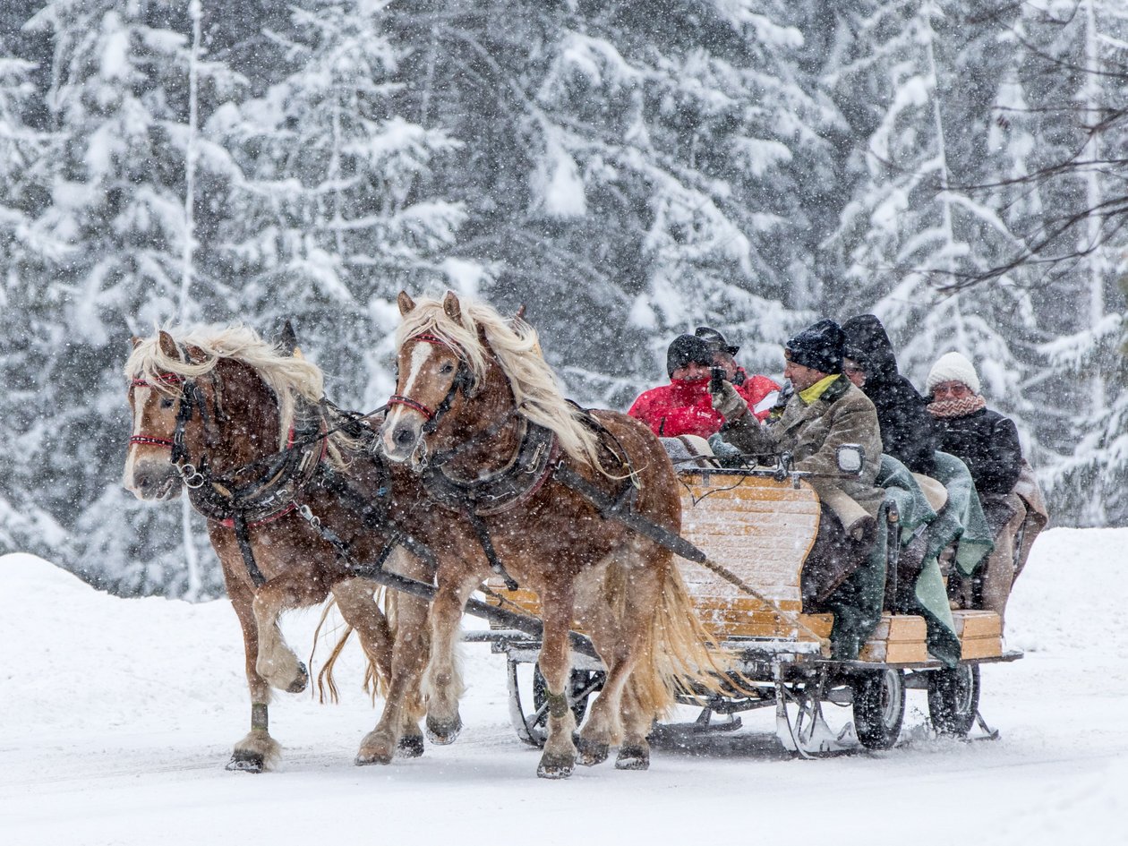 Pferdeschlittenfahrt im Winterzauber Pferdeschlitten fährt durch verschneite Landschaft mit fröhlichen Passagieren und fallendem Schnee
