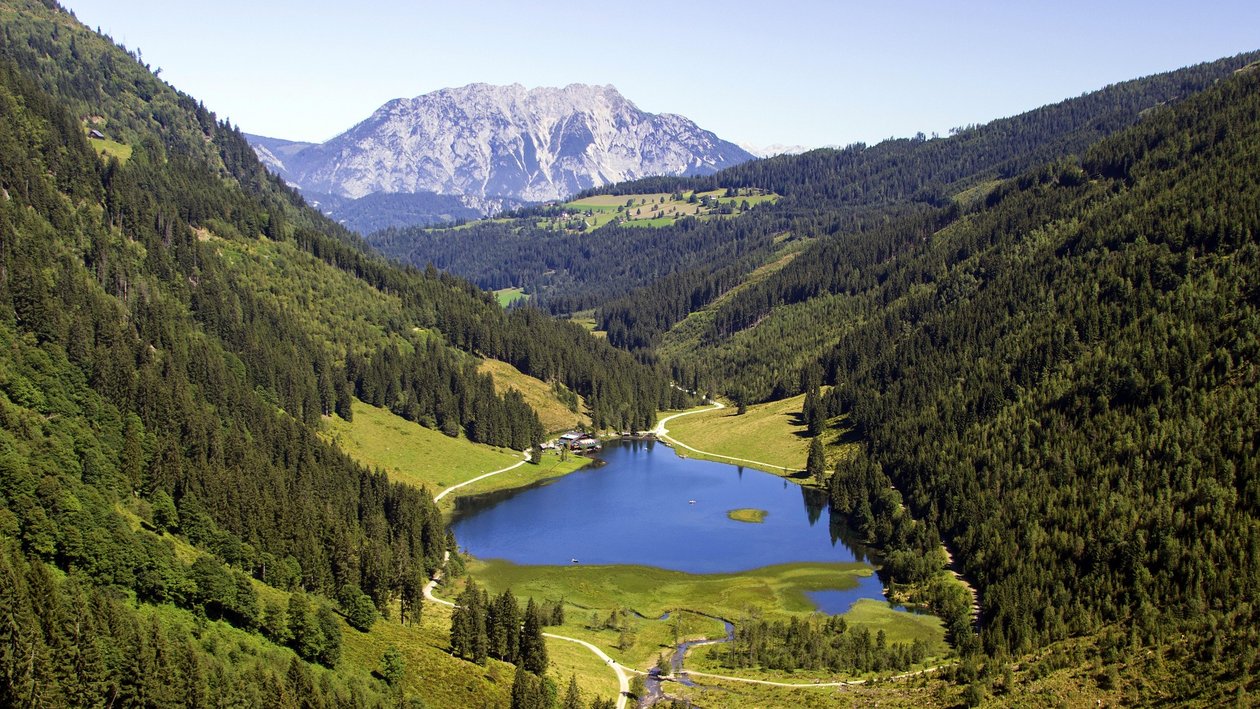 Idyllische Berglandschaft am See Ruhige Berglandschaft mit einem See, umgeben von Wäldern und Bergen im Hintergrund.