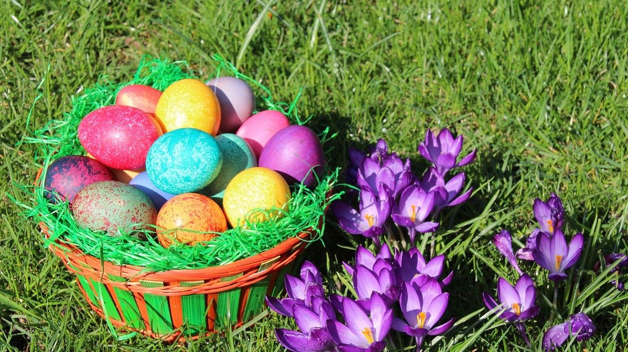 Bunte Ostern mit frischen Frühlingsblumen Ein bunter Korb mit dekorierten Ostereiern und blühenden Krokussen auf grünem Gras