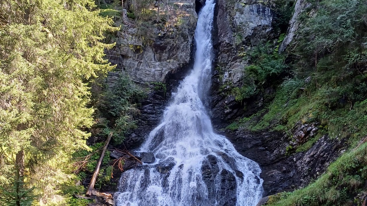 Wasserfall inmitten üppiger Natur Ein Wasserfall fließt über felsige Klippen, umgeben von dichten Bäumen und grüner Vegetation.