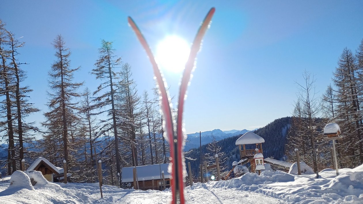 Skierlebnis in der Winterlandschaft Rote Skistöcke stehen im Schnee vor einer sonnigen, verschneiten Landschaft mit Bäumen im Hintergrund.