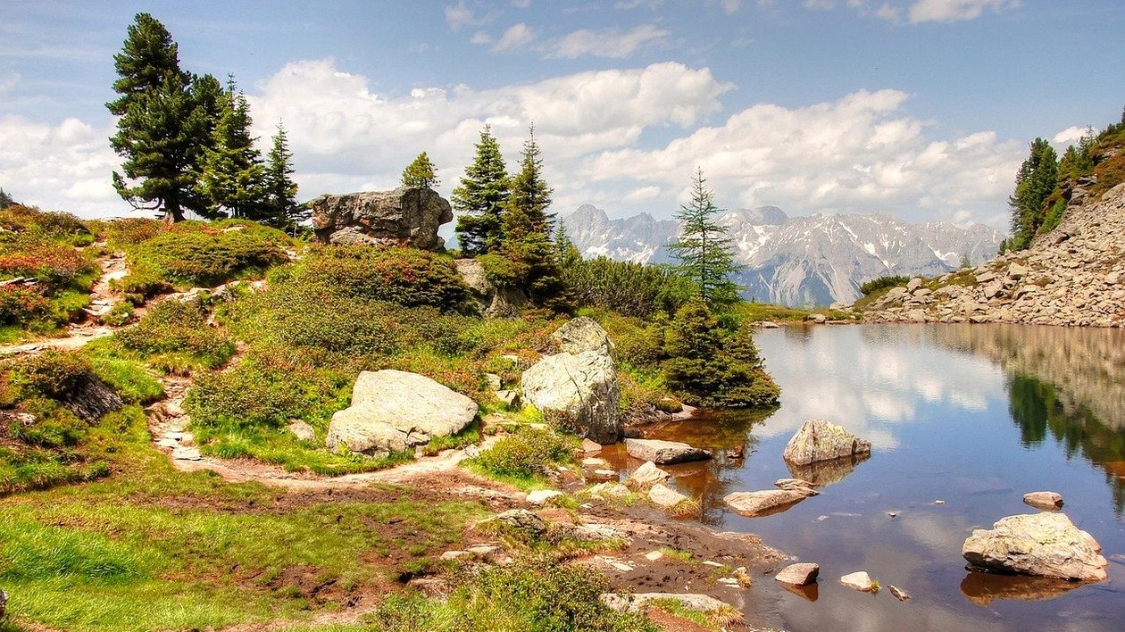 Idyllische Naturkulisse am See Ruhiger See umgeben von Bäumen und Bergen, idyllische Landschaft in den Alpen mit klarem Wasser