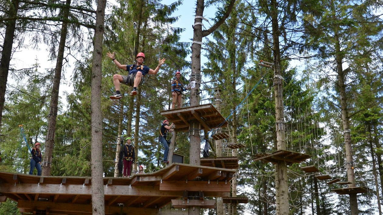 Hochseilgarten Abenteuer im Wald Gruppe von Menschen im Hochseilgarten zwischen Bäumen mit Kletterstrukturen und Plattformen