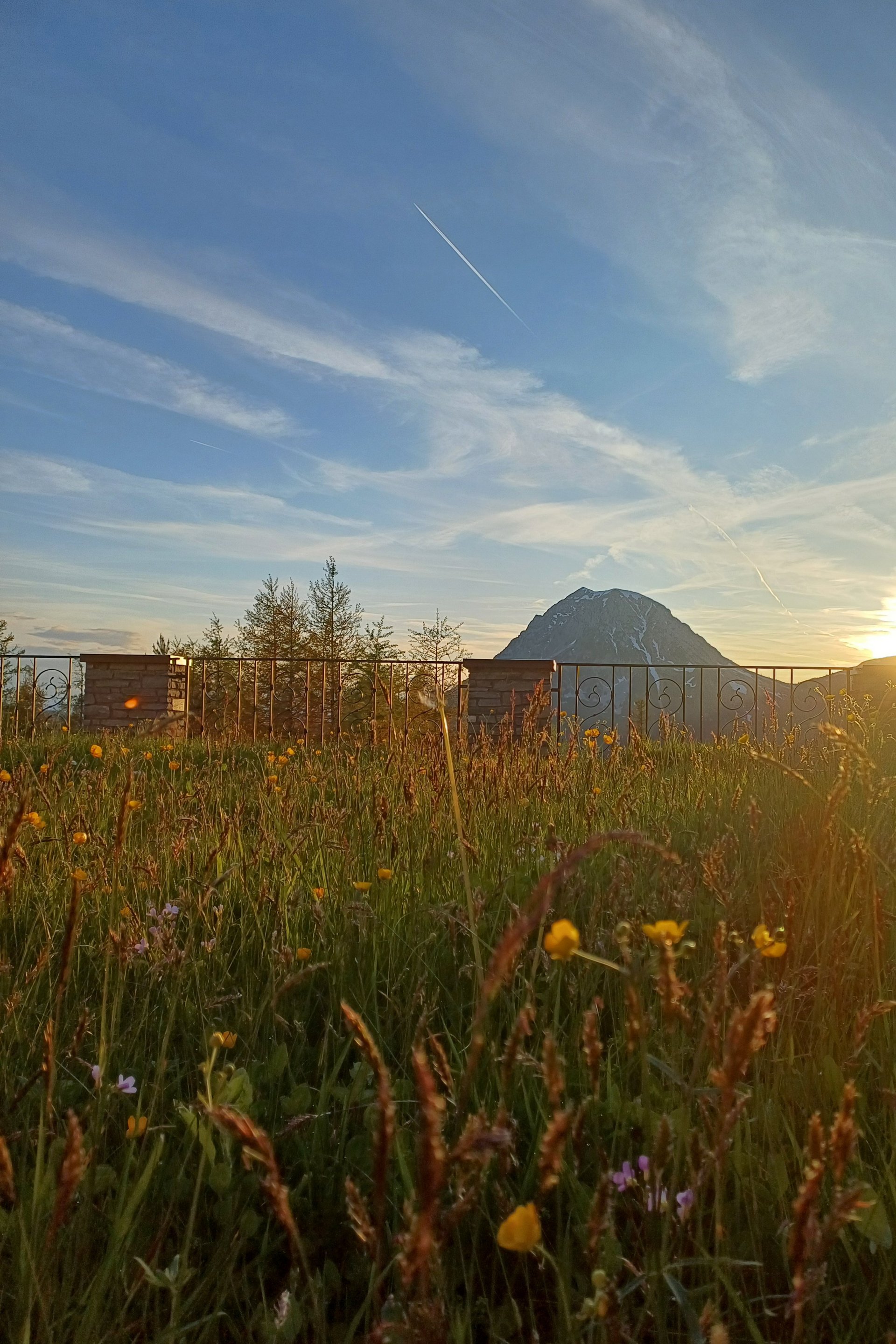 Berglandschaft mit Wildblumen im Vordergrund und Sonnenuntergang im Hintergrund.