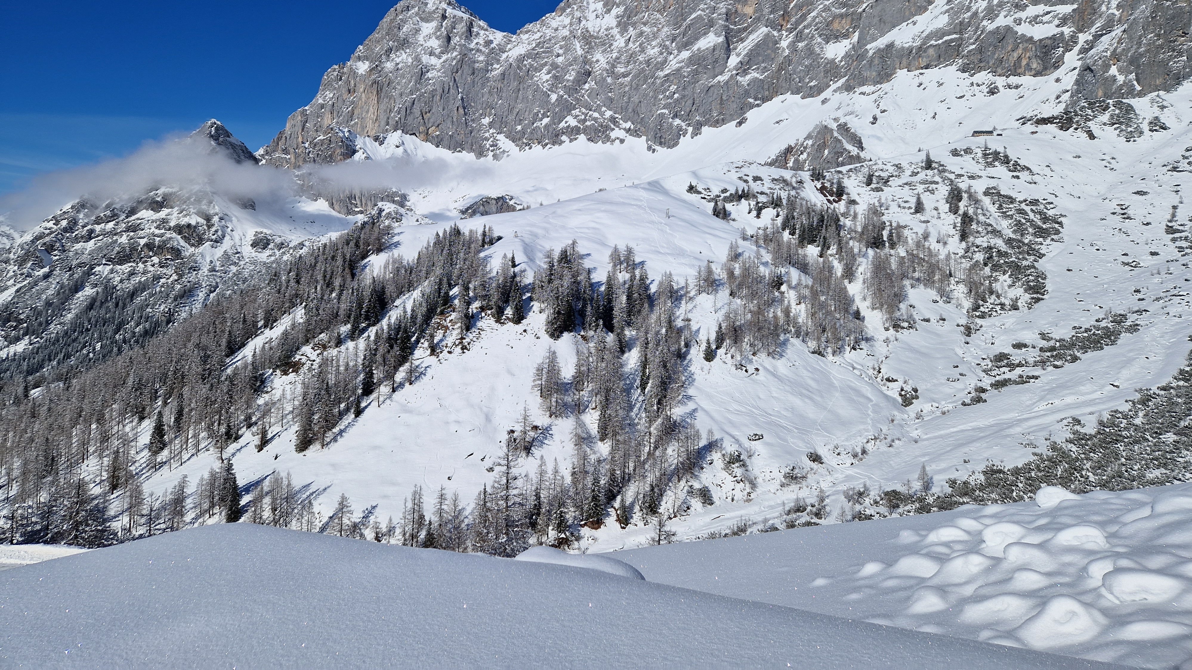 Schneebedeckte Berge unter blauem Himmel mit Fichten im Vordergrund. Rugged Terrain ist sichtbar.