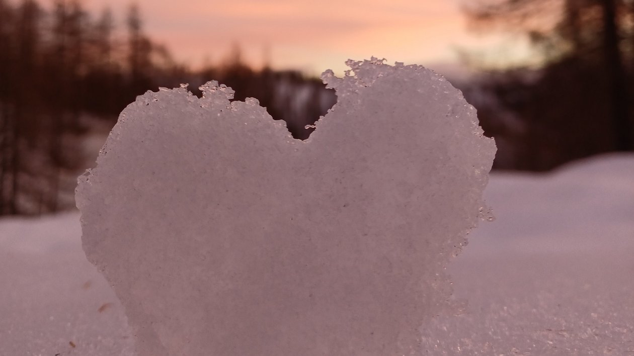 Herz aus Schnee im Winterwunderland Herzförmige Schneeskulptur vor einer Landschaft bei Sonnenuntergang mit Bäumen im Hintergrund