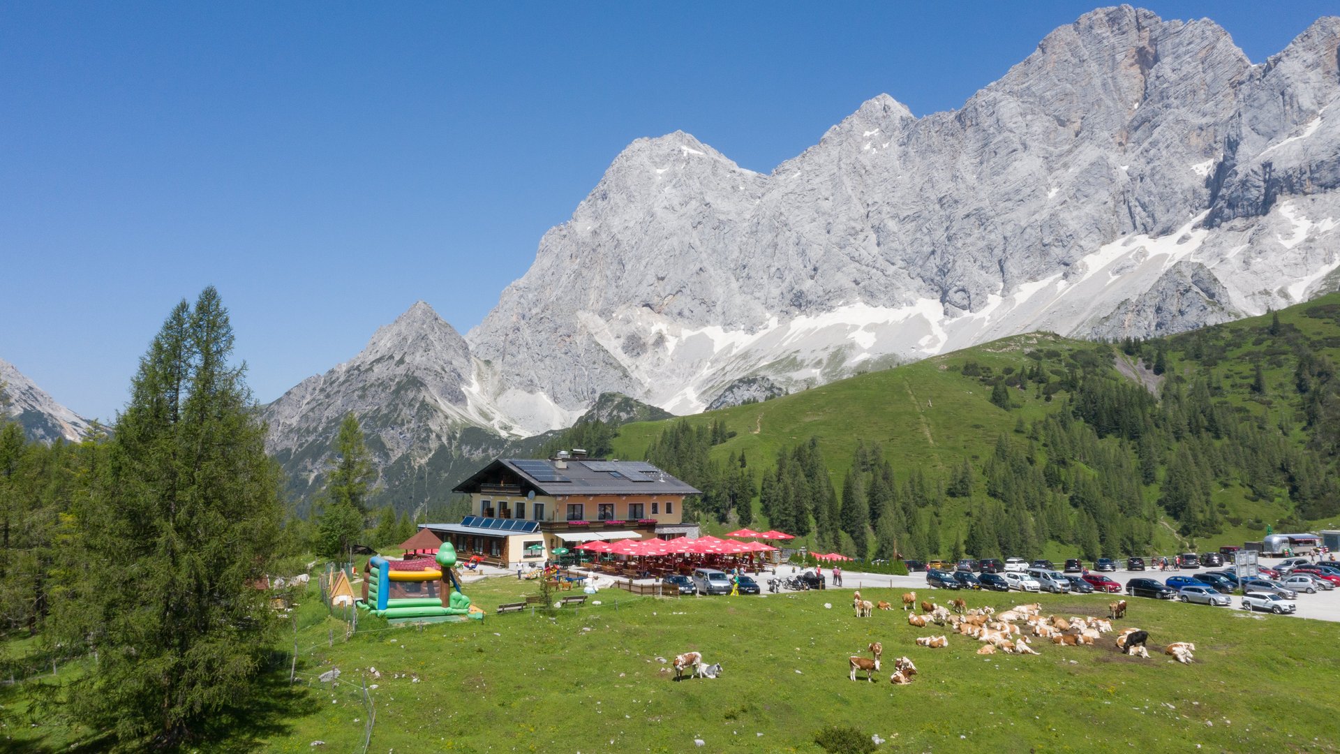 Berglandschaft mit grasenden Kühen und Außenbereich eines Restaurants in der Natur
