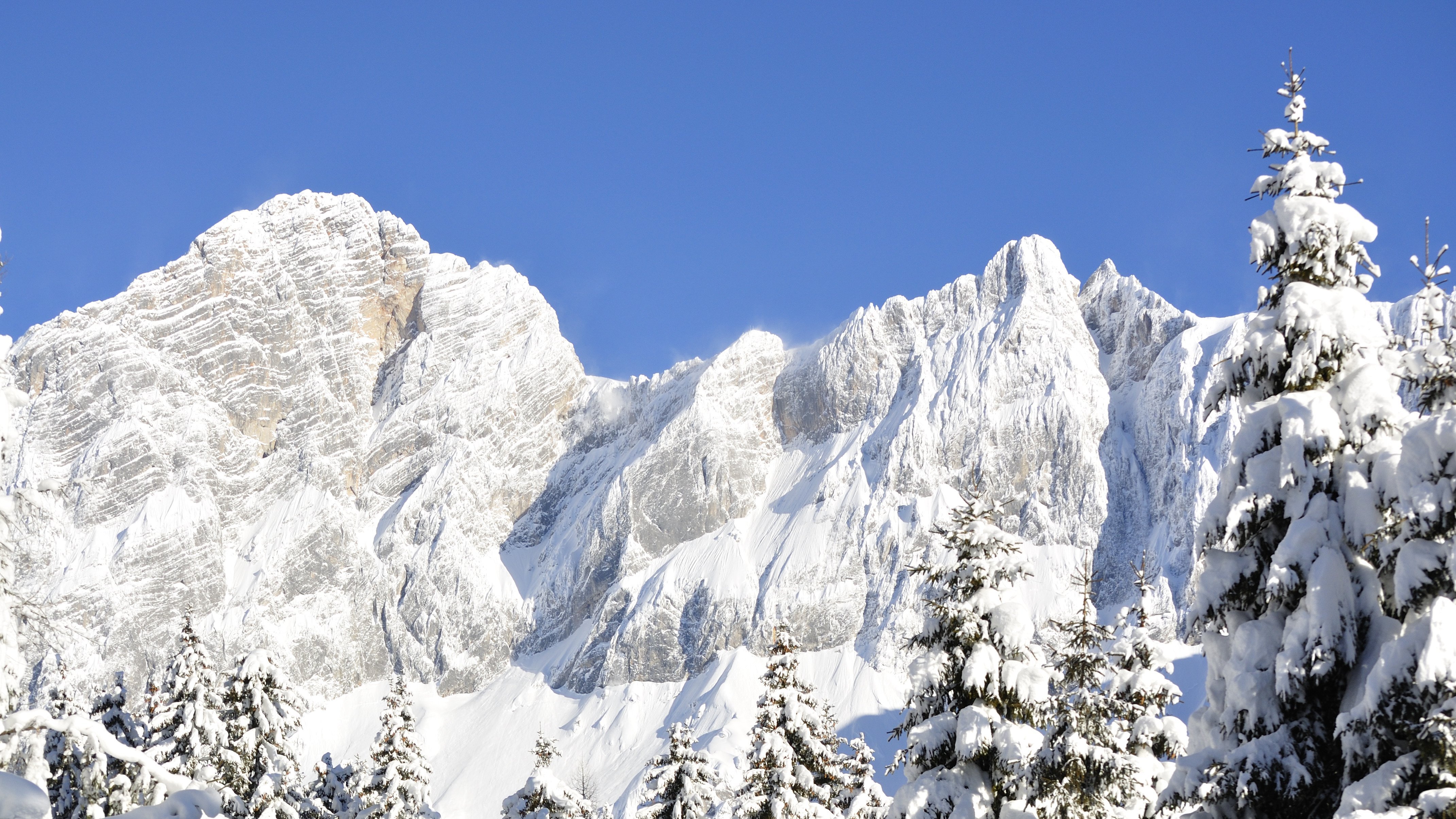 Winterzauber in den Alpen Schneebedeckte Berge und Nadelbäume unter blauem Himmel in einer Winterlandschaft