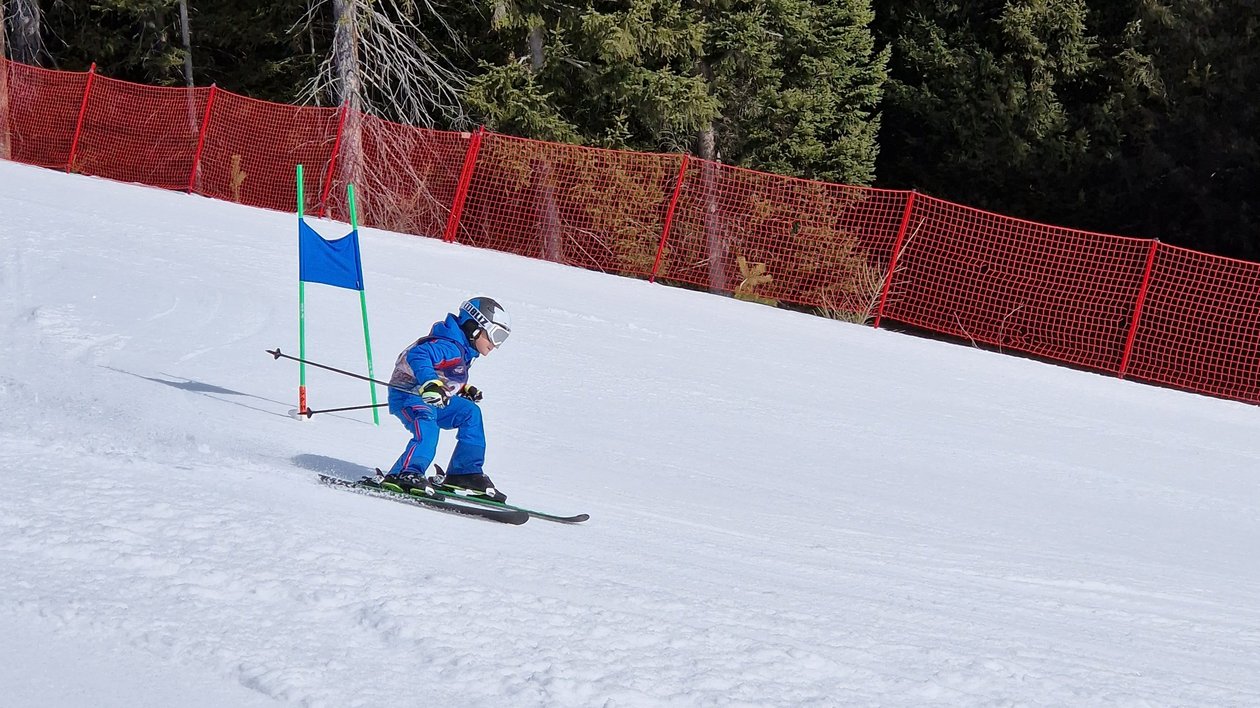 Skifahren im Slalomparcours Ein Skifahrer bewältigt einen Slalomkurs auf einer verschneiten Piste, umgeben von Bäumen.