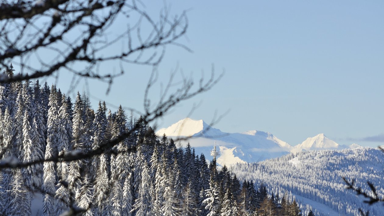 Winterlandschaft mit schneebedeckten Bergen Schneebedeckte Berge umgeben von dichten Nadelbäumen in einer Winterlandschaft ohne Menschen
