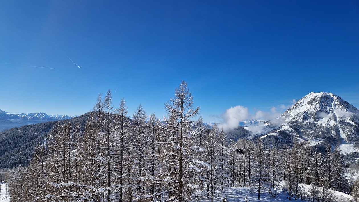 Winterliche Berglandschaft in Ramsau Schneebedeckte Berge und Kiefernwald unter blauem Himmel in winterlicher Landschaft.