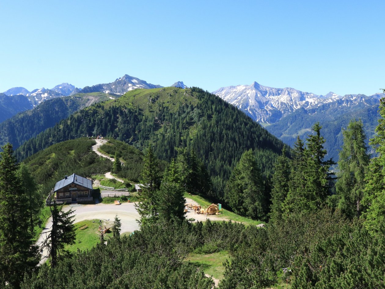 Alpenpanorama über den Wäldern Panoramablick auf eine Berglandschaft mit bewaldeten Hügeln und schneebedeckten Gipfeln unter klarem Himmel.